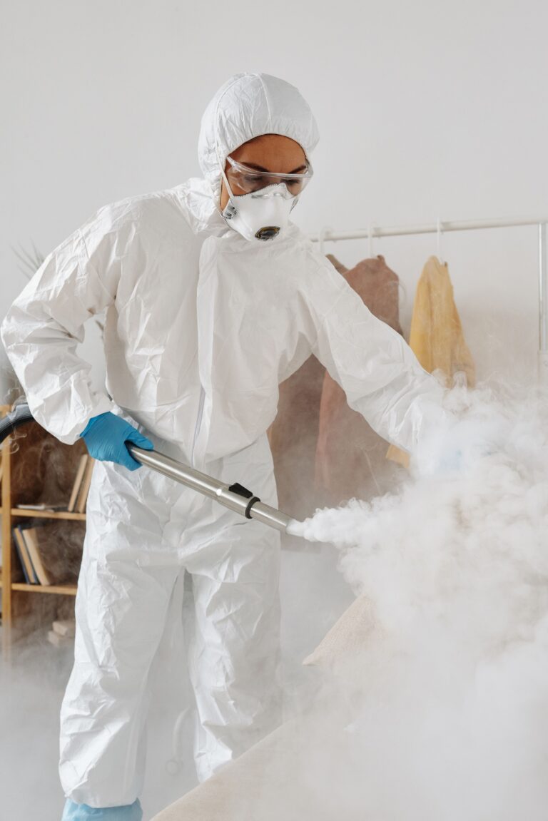 Ploșnițe de pat: ghid practic pentru recunoaștere, prevenție și tratament pexels michelangelo buonarroti 4176229